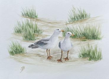 25 art postcards DK12 seagulls on the beach - reverse side Cuxhaven - watercolor